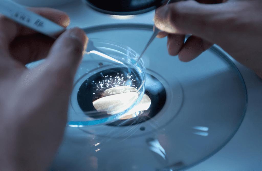 Progetto di Ricerca Psicologica per adolescenti